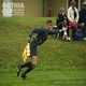 Gothia Cup 2012
