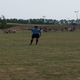 Brondby Cup 2014