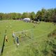 Norhalne Cup 2015